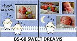 5-60B SWEETDREAMS-260