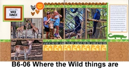 B6-06 wild things - 260